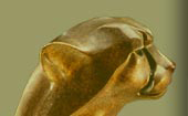 cheetah head