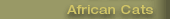 African Cats